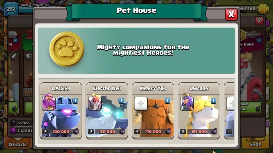 Clash of Clans Accounts Global|TH17-BH9|LVL 217|ManySkin|HH 9|League Titan image 20