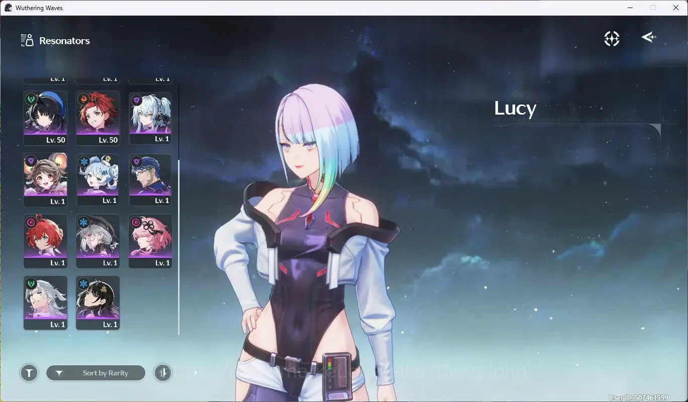 Wuthering Waves Accounts NA|UL 49|1 Char Limited [Lucy RC6 + Sign] & Rebecc image 3
