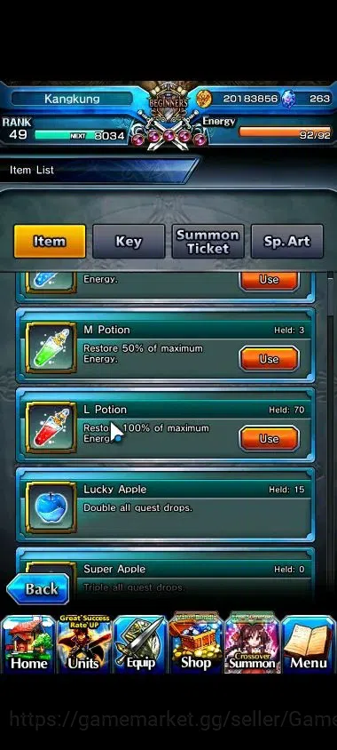 Grand Summoners Accounts Mid-Game Global|263 cc|Rank 49|2 Ascend+1 TW| Youmu Konpaku+TW,Bouncing Bunny William | Lpot 50 2