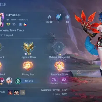 Mobile Legends: Bang Bang Accounts Collector Global|Hero 78|Skin 82|Seasoned|Epic Moskov,Anniversary Miya,SPECIAL