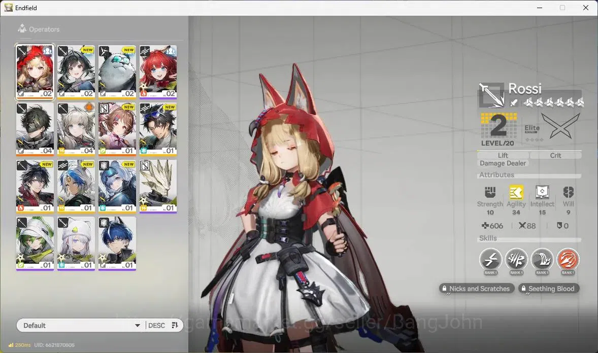 Arknights: Endfield Accounts EU | Starter |1 Limit+2 STD|Lmit Rossi|STD Endmini image 1