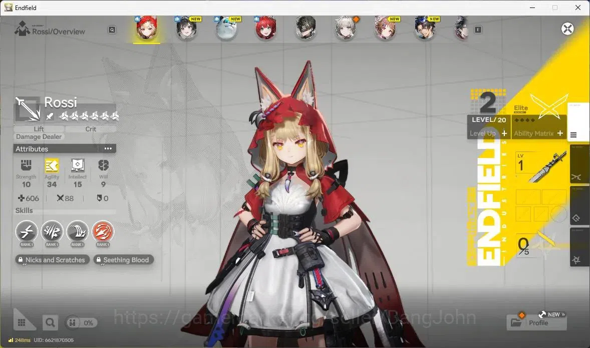 Arknights: Endfield Accounts EU | Starter |1 Limit+2 STD|Lmit Rossi|STD Endmini image 2