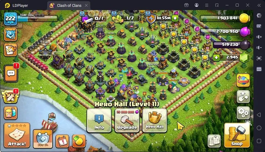 Clash of Clans Accounts Global |TH 17-BH 10|LVL 222|BK 86,AQ90,MP71,GW74,R image 6