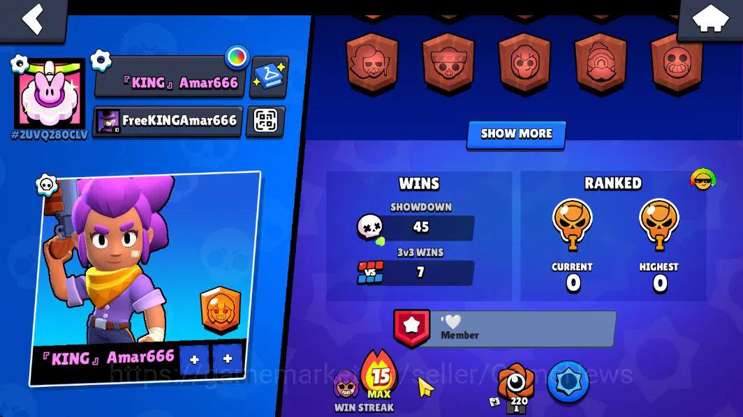 Brawl Stars Accounts 1015 Trophy |16 Brawlers 3 MAX Lvl (Shelly,Tick,Bo) | 1 Epic Skin (Royale Trunk) |CN 4