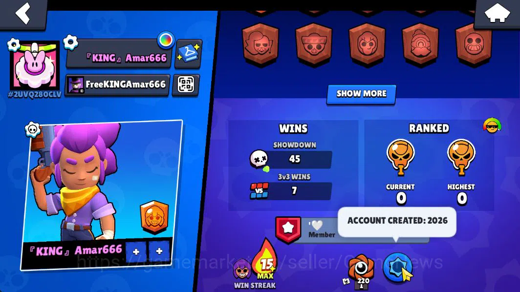 Brawl Stars Accounts 1015 Trophy |16 Brawlers 3 MAX Lvl (Shelly,Tick,Bo) | 1 Epic Skin (Royale Trunk) |CN 5