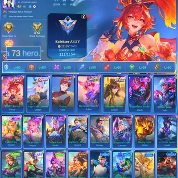 Mobile Legends: Bang Bang Accounts Others HERO 73 SKIN 111 | EMBLEM GOOD| PACE FANNY| VALE GARA| EPIC VALIR | HERO GOOD