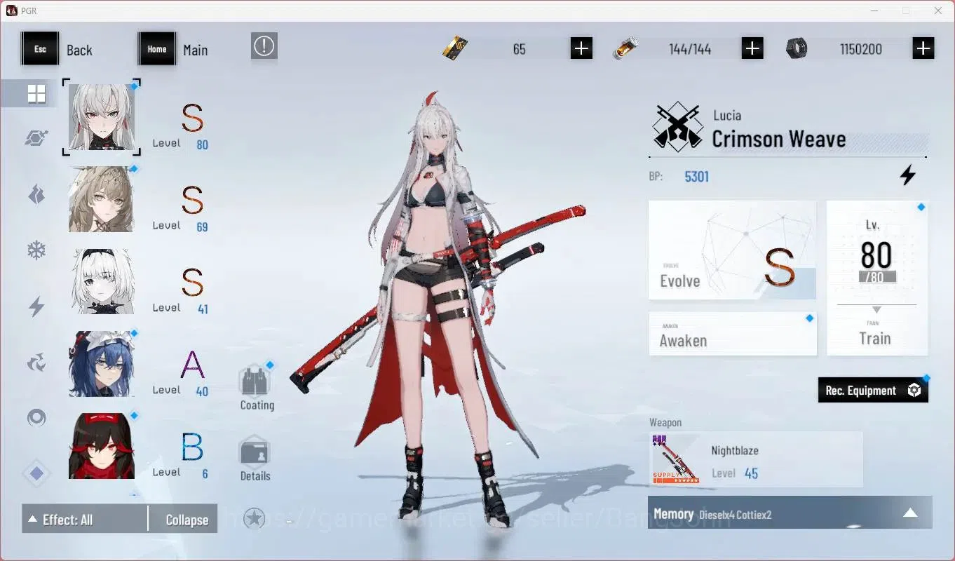 Punishing: Gray Raven Accounts Mid-Game ASIA | L45 | S Lucia CW Lv80+Sign , S Bianca C Lv69, S No.21 Feral Lv41 | BC 65 3
