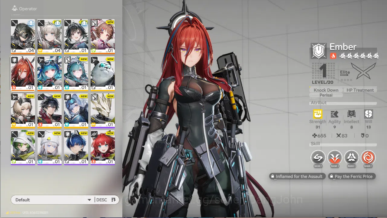 Arknights: Endfield Accounts Starter Skip Tutor | NA/EU | Bengginer On | SSR Em image 1
