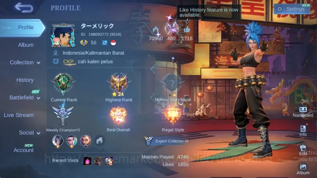 Mobile Legends: Bang Bang Accounts Collector Global|152S|Expert|KOF Karina,CC Natalia,Epic Freya Yss Rafaela Uranus 1