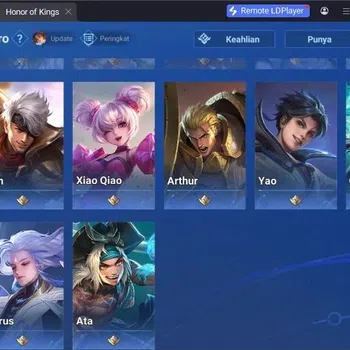 Honor of Kings Rare Skin Global | 47H/44S | 2 LGD Li Xin, Lady Sun | 2 Lord image 1