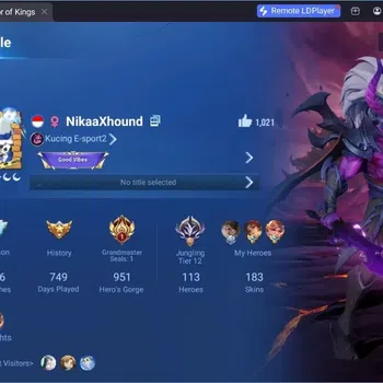 Honor of Kings Accounts Rare Skin Global|113H 183S|Legend:Musashi,Wukong|GM Gan&Mo|LOM Guiguzi|LNY
