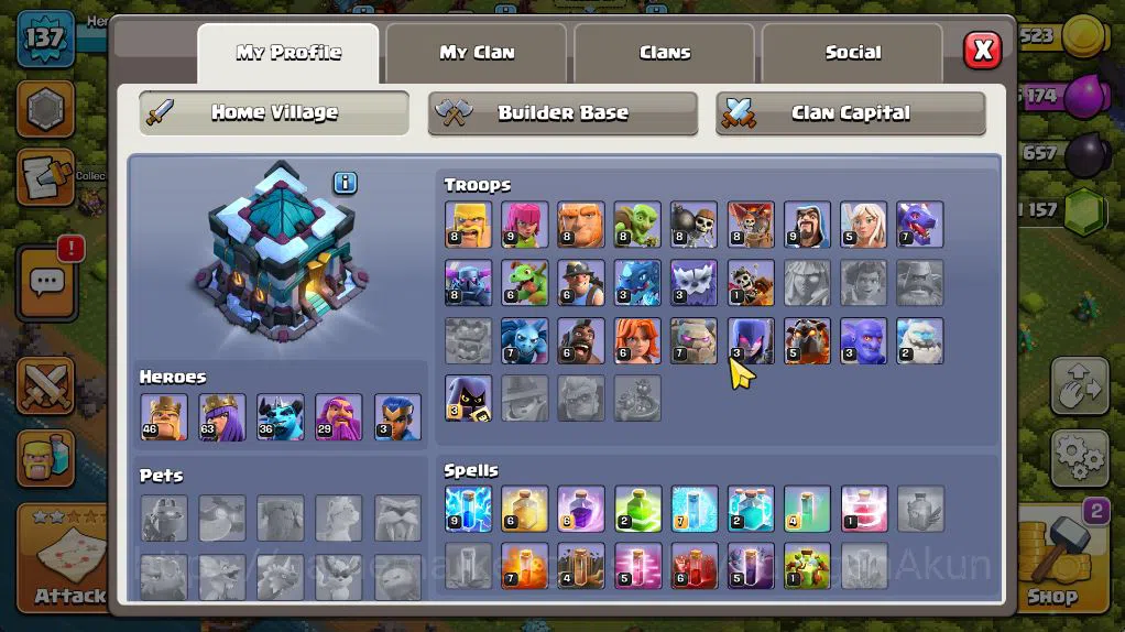 Clash of Clans Accounts Starter TH 13 - BH 8|Limited Skin|LV 137|HH 7|BK 46,AQ 63,GW 29,MP 36,RC 3|CN OFF|Protect ON|TAKE 3