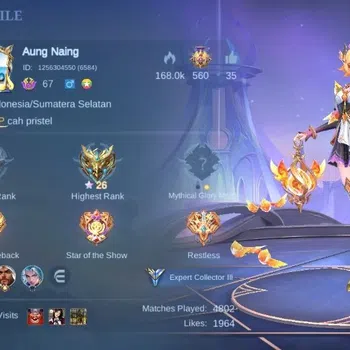 Mobile Legends: Bang Bang Accounts Collector Global|Skin 160|Expert|Collector Natalia,PACE Fanny,S.A.B.E.R