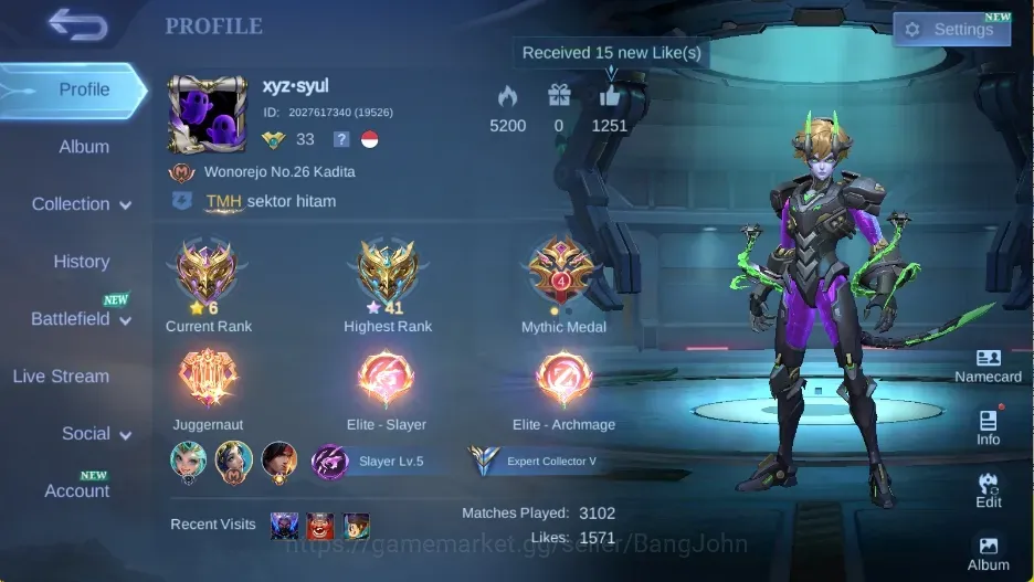 Mobile Legends: Bang Bang Accounts Collector Global|Skin 100|Expert|Collec: Layla|LB: Tigreal,Alucard,Granger|BLZ 1