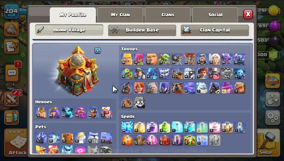 Clash of Clans Accounts Lv 204|TH 16|LV 204|Limited Skin|HH 10|BK 75,AQ 86 image 3