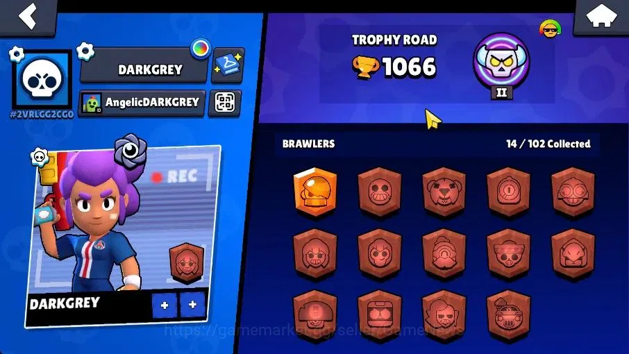 Brawl Stars Accounts 1066 Trophy|8K Bling 4K Coins|14 Brawlers 1 Max Lvl [Full Buffies Edgar]|4 Skins|2 Super Rare|CN 8