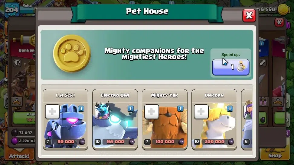 Clash of Clans Accounts High-End LV204|TH16-BH 10|HH 10|LimitedSkin|BK 70 AQ 95 GW 55 MP 60 RC 35 DD 12 BM 26 BC 24|3856 12