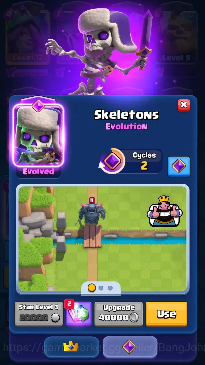 Clash Royale Accounts Trophy 8380 | Tower Skin 2 | Evo 6 : Skeleton, Bab image 10