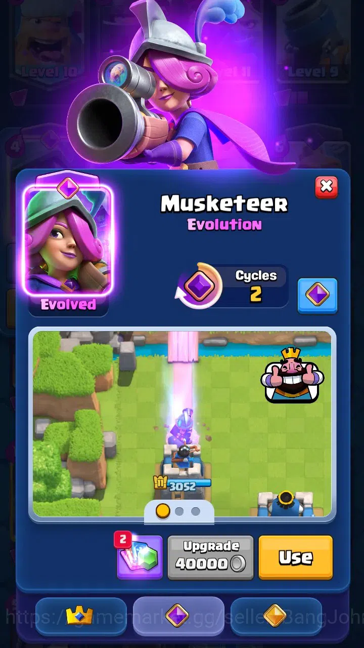 Clash Royale Accounts Trophy 8380 | Tower Skin 2 | Evo 6 : Skeleton, Bab image 11