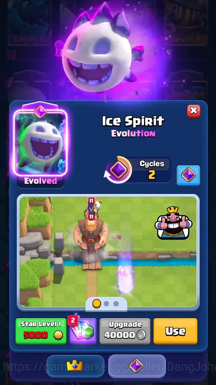 Clash Royale Accounts Trophy 8380 | Tower Skin 2 | Evo 6 : Skeleton, Bab image 12