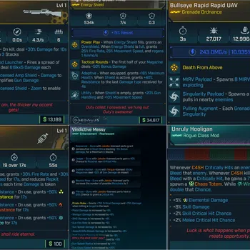 Borderlands 4 Items LVL1 ROGUE LEVELING PACK (C4SH CLASS MOD MAX ALL SKILLS + 534K SHIELD + AOE GRENADE + REPKIT