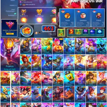 Mobile Legends: Bang Bang Accounts #4633 463 Skins | Franco King of Hell (LEGEND) | Floryn Fluffy Dream (SANRIO) | Karina