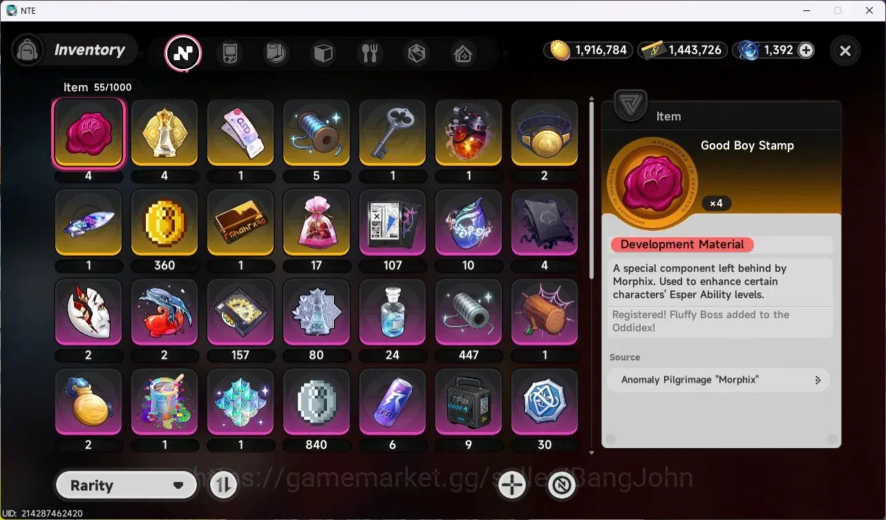 Neverness to Everness Accounts SEA |Hunter Lv 40| 6 S-Class (Lacrimosa+Sign),Hoto image 11