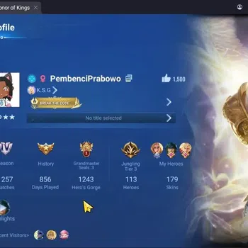 Honor of Kings Accounts Rare Skin Global|113H 179S|BLESSED: Nakoruru|SS:Dharma|KIC:Luna|Legend