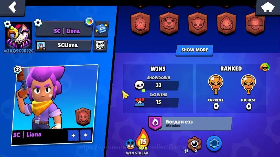 Brawl Stars Accounts 1001 Trophy|3,3K Bling|14 Brawlers 2 Max Lvl [Shel image 3