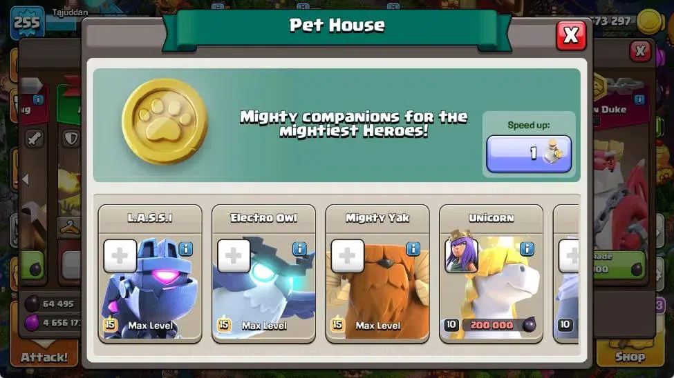 Clash of Clans Accounts Global | TH 16-BH 10 | LVL 255|AQ 95 ,MP 71 ,GW 70 image 11