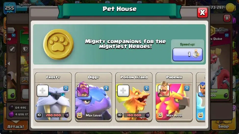 Clash of Clans Accounts Global | TH 16-BH 10 | LVL 255|AQ 95 ,MP 71 ,GW 70 image 12