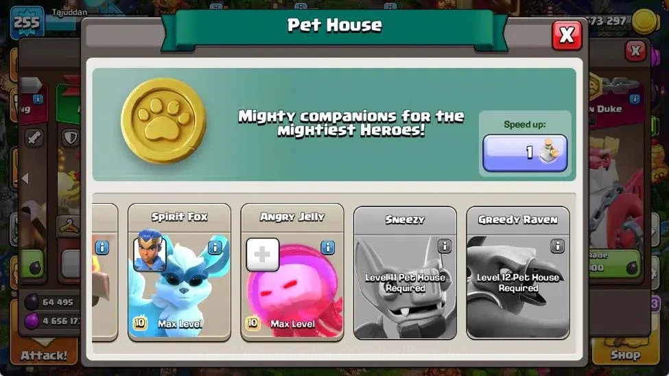 Clash of Clans Accounts Global | TH 16-BH 10 | LVL 255|AQ 95 ,MP 71 ,GW 70 image 13