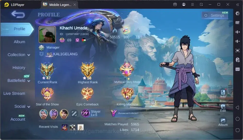 Mobile Legends: Bang Bang Accounts Global|Hero 123|Skin 273|Renowned|Collector Natali image 19