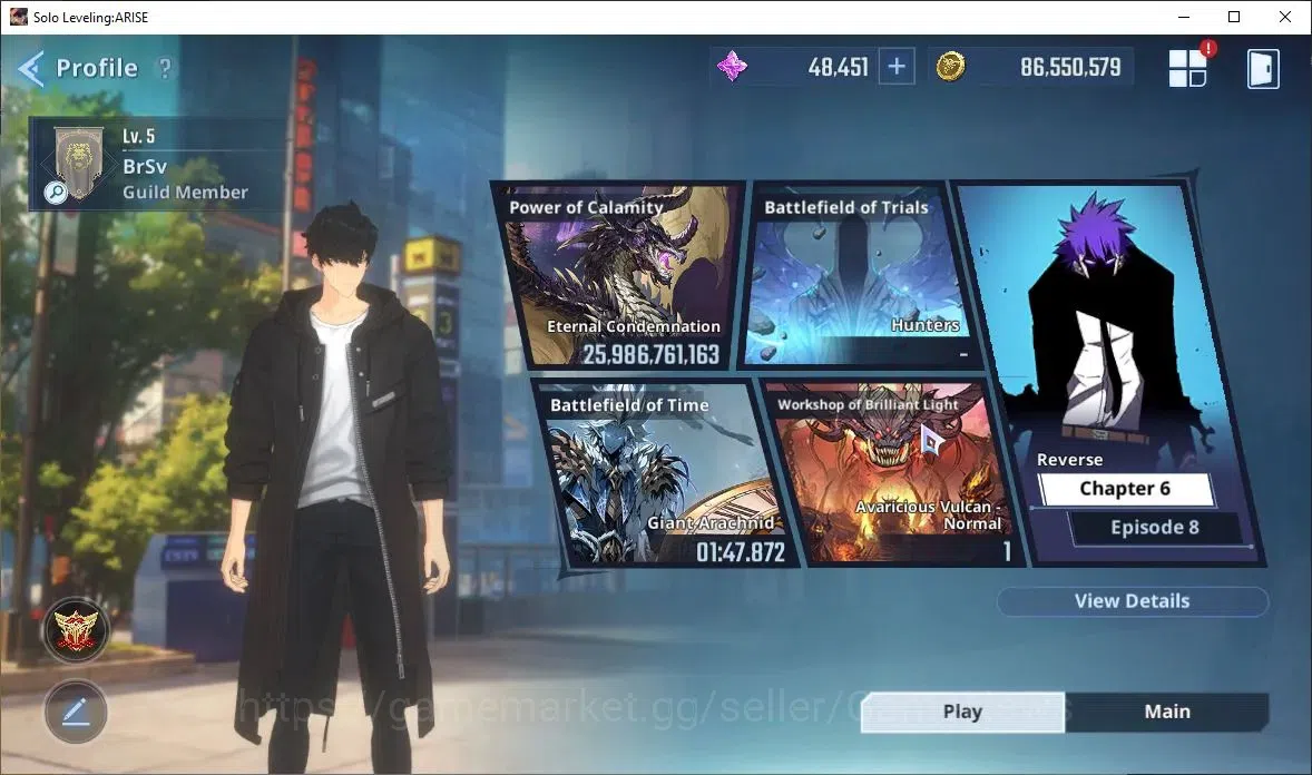Solo Leveling: ARISE Accounts 2,5M Pwr|Light,Wind Team|48K Esse|25 12