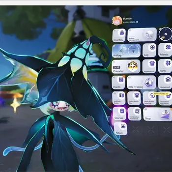 Aniimo Accounts End Game