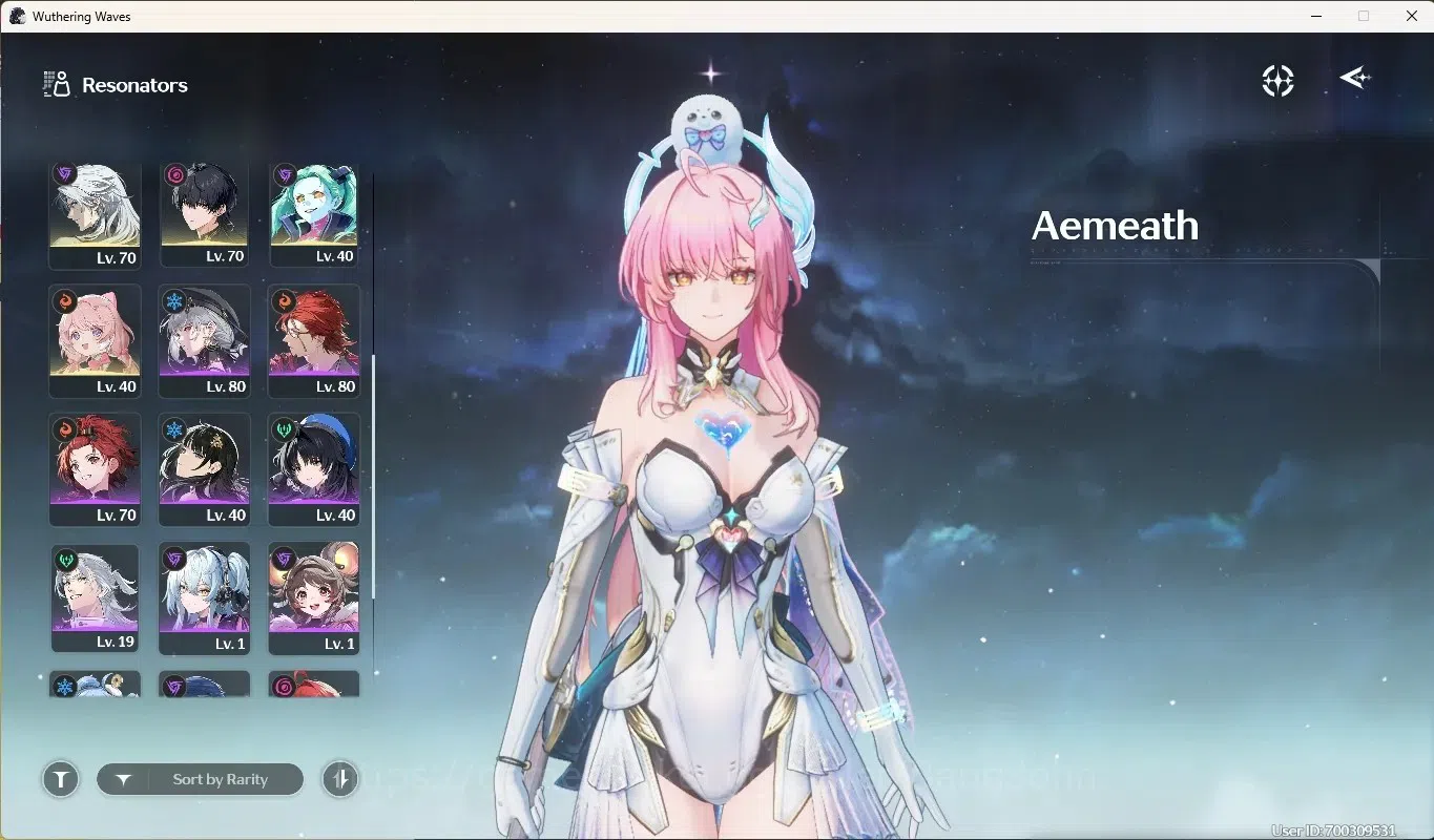 Wuthering Waves Accounts Starter ASIA|8 Char Limited [Aemeath,Hiyuki]+Sign,Lynae,Mornye,Chisa,Jiyan,Qiuyuan,Changli|Mc 3