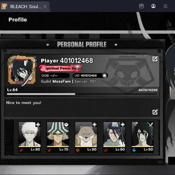 BLEACH: Soul Resonance Accounts Nuverse