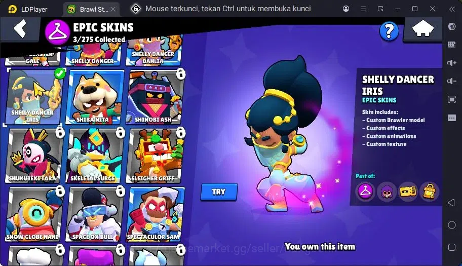 Brawl Stars Accounts Trophy 709 | 14 Brawler| 1 Max Haypercharge(Nita)| 1 Mythic(Nita),3 Epic,4 S Rare Skin|270 Bling 5