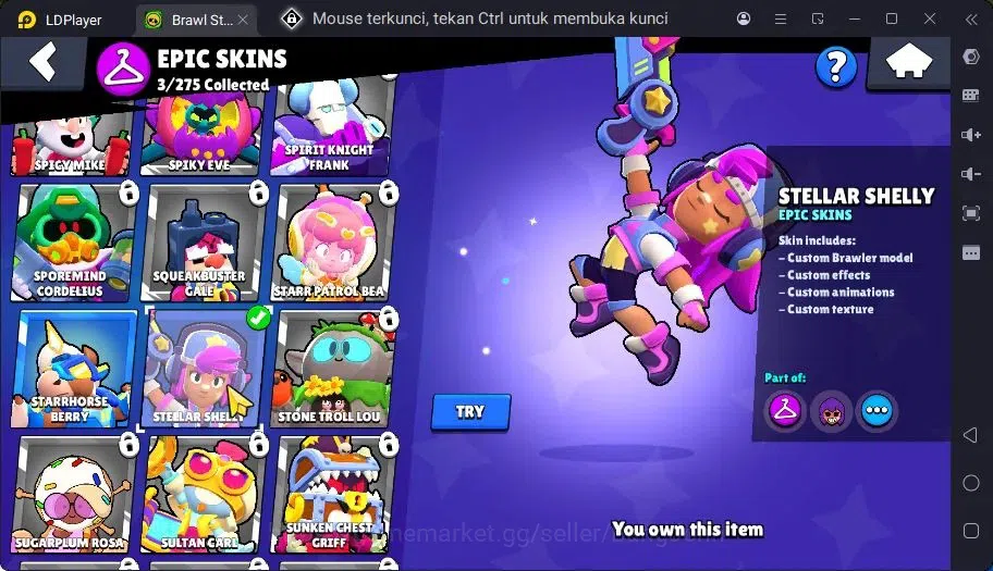 Brawl Stars Accounts Trophy 709 | 14 Brawler| 1 Max Haypercharge(Nita)| 1 Mythic(Nita),3 Epic,4 S Rare Skin|270 Bling 6