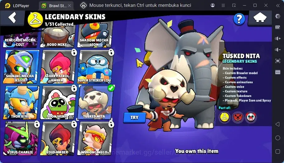 Brawl Stars Accounts Trophy 709 | 14 Brawler| 1 Max Haypercharge(Nita)| 1 Mythic(Nita),3 Epic,4 S Rare Skin|270 Bling 8
