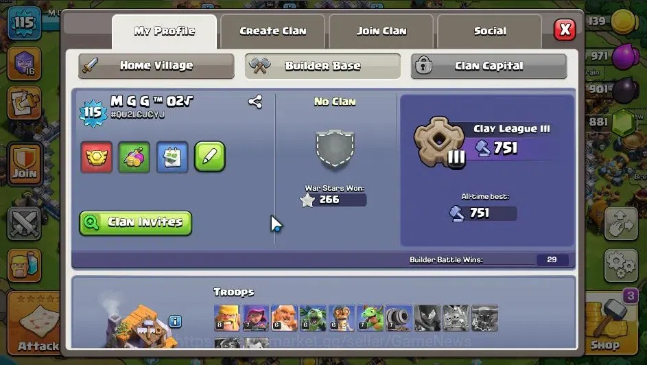 Clash of Clans Accounts Lv 115|TH 14 - BH 5|Limited Skin|HH 8|BK 56,AQ 54, image 8