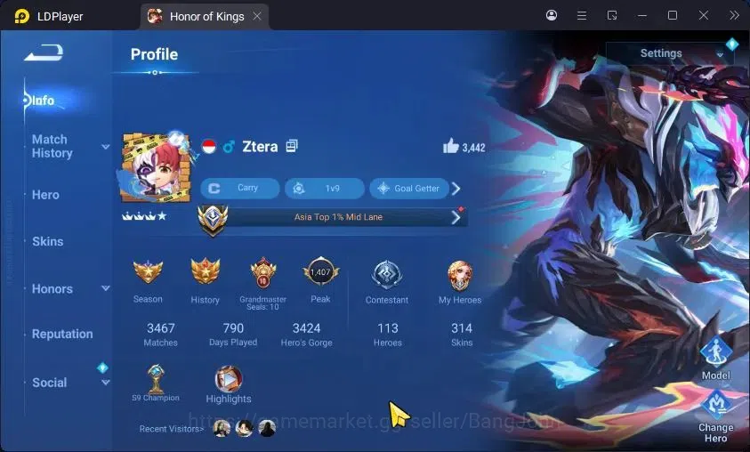 Honor of Kings Accounts Rare Skin 1