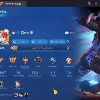 Honor of Kings Accounts Rare Skin