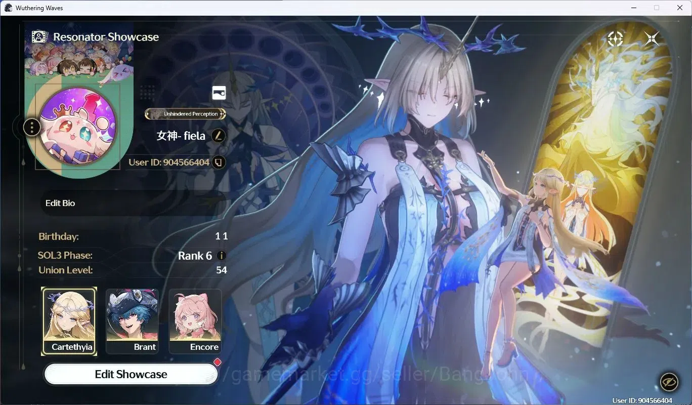 Wuthering Waves Accounts SEA |UL 54 | R6 | 5x 5* Char Lv80 Cartethyia, Fiel image 15