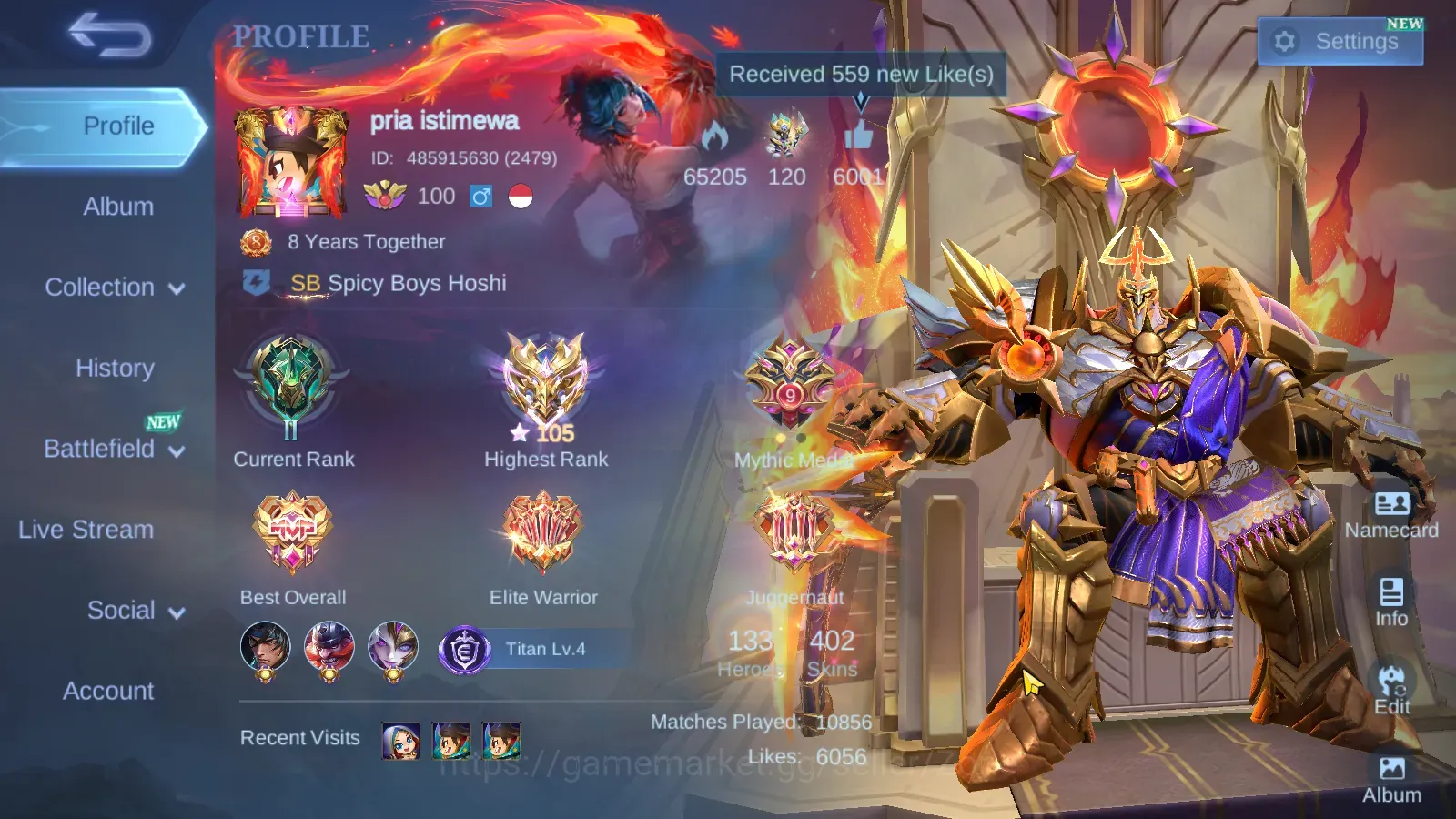 Mobile Legends: Bang Bang Accounts Collector GLOBAL|Hero 133|Skin 402|Exalted|2 Legend(NARUTO hayabusa,SV Hanabi,Sanrio 1