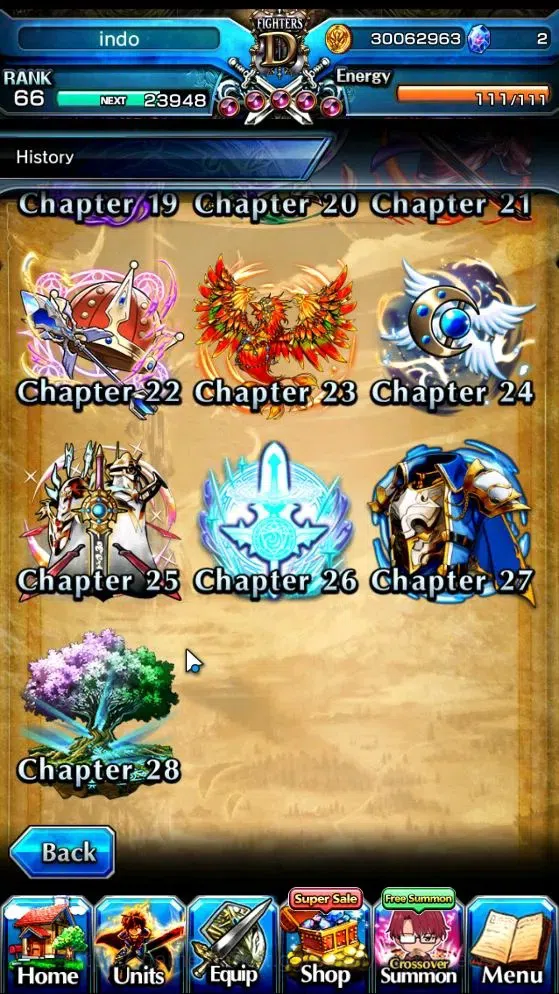 Grand Summoners Accounts End-Game Global|Rank 66|21 Ascend 7 TW|(Paladin Roy,Chloe,SJW,Hae-In,Igris,Gamagori,Shuna)+TW S 11