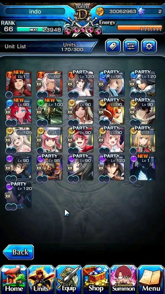 Grand Summoners Accounts End-Game Global|Rank 66|21 Ascend 7 TW|(Paladin Roy,Chloe,SJW,Hae-In,Igris,Gamagori,Shuna)+TW S 4