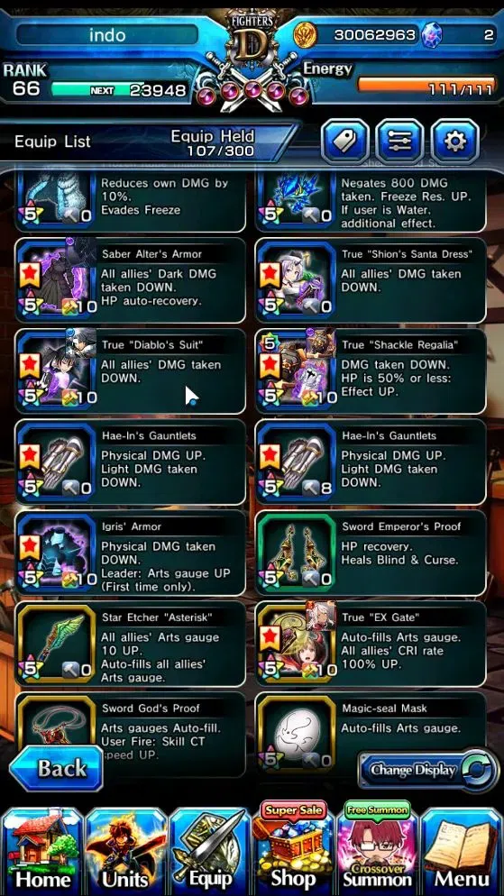 Grand Summoners Accounts End-Game Global|Rank 66|21 Ascend 7 TW|(Paladin Roy,Chloe,SJW,Hae-In,Igris,Gamagori,Shuna)+TW S 7