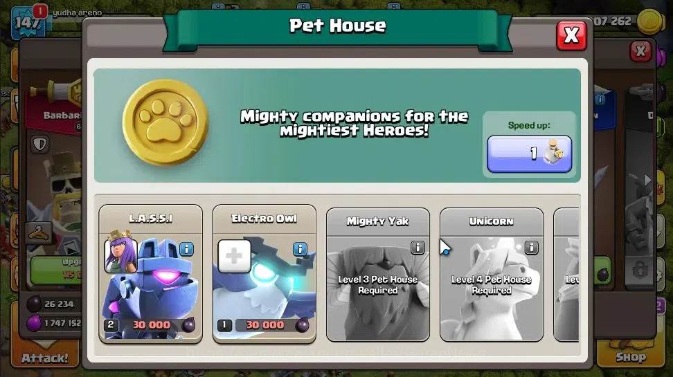 Clash of Clans Accounts LV 147|TH 14 - BH 8|Limited Skin|HH 8|BK 64,AQ 67, image 14