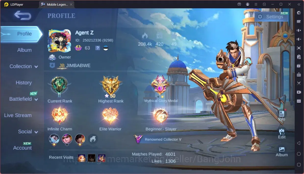 Mobile Legends: Bang Bang Accounts Collector Global |Hero 123|Skin 202|Renowned|Luckybox Zhask|CC Natalia|Ligtborn 1